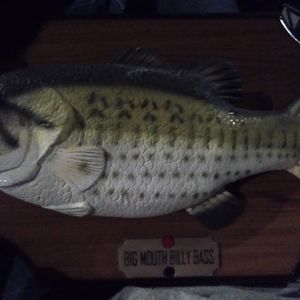 Billy bass fish